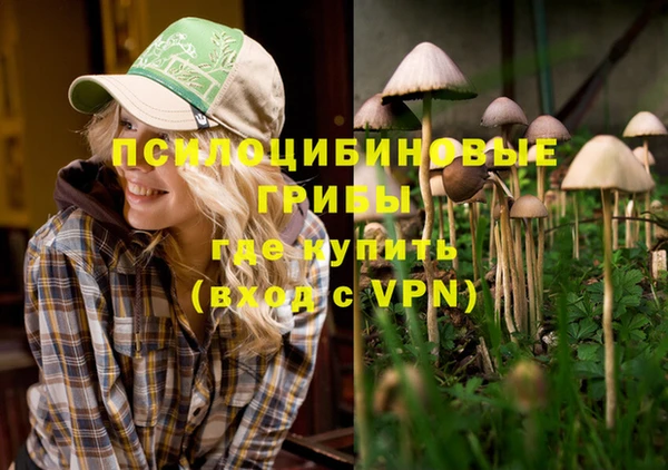 экстази Лагань