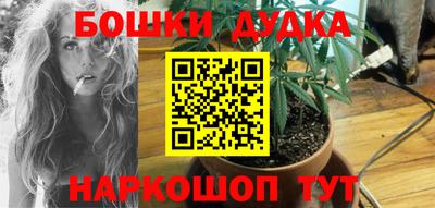 прущие грибы Пенза