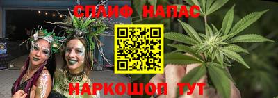 Альфа ПВП Севастополь