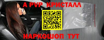 прущие грибы Пенза
