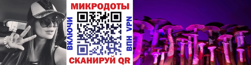 даркнет сайт  Южноуральск  darknet формула  Галлюциногенные грибы мицелий  блэк спрут ONION 