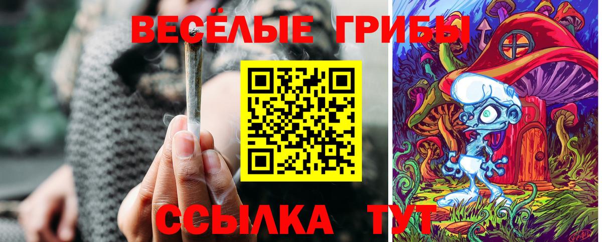 Псилоцибиновые грибы GOLDEN TEACHER  Вход с VPN  Южноуральск 